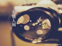 海口秀英右漆电子商务工作室