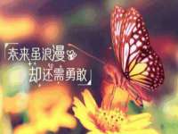 海口秀英右漆电子商务工作室