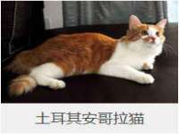 海口秀英右漆电子商务工作室