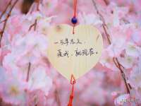 海口秀英右漆电子商务工作室