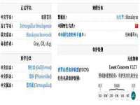 海口秀英右漆电子商务工作室