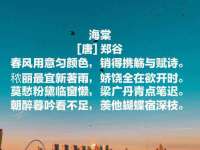 海口秀英右漆电子商务工作室