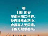海口秀英右漆电子商务工作室