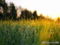 海口秀英右漆电子商务工作室