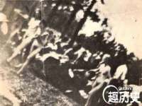 海口秀英右漆电子商务工作室