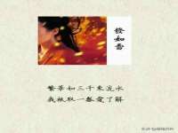 海口秀英右漆电子商务工作室
